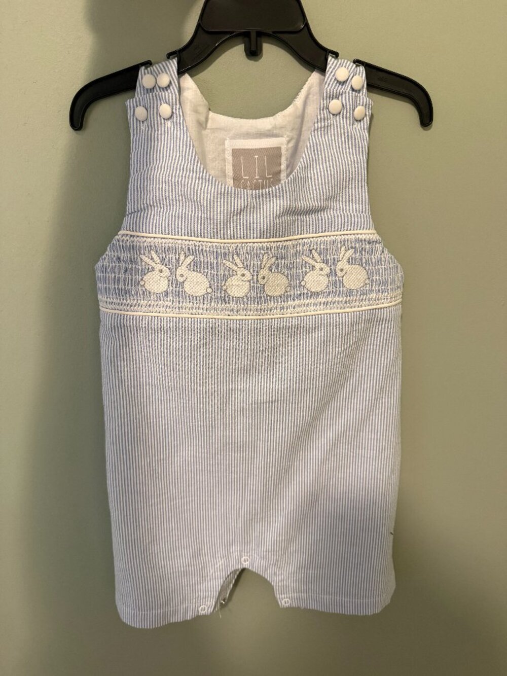 Lil Cactus Bunny Overalls 2T